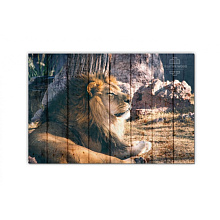Панно с изображением животных Creative Wood ZOO ZOO - 3 Лев